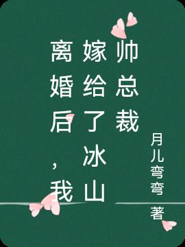 离婚后,我嫁给了冰山帅总裁全本阅读