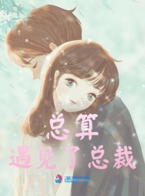 遇上总裁