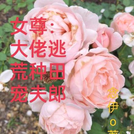 女尊：大佬逃荒种田宠夫郎