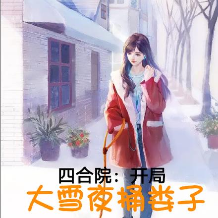 四合院:开局大雪夜捅娄子
