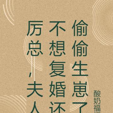 厉总,夫人不想复婚还偷偷生崽了