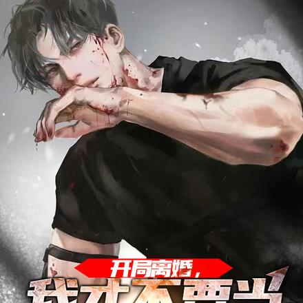 开局离婚后