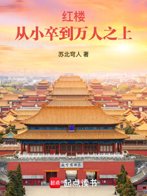 红楼:从小卒到万人之上免费阅读