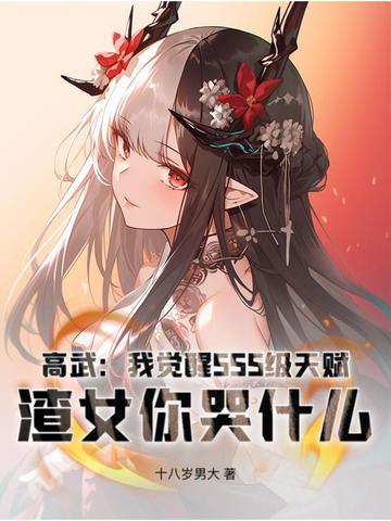 高武属性面板加点流小说